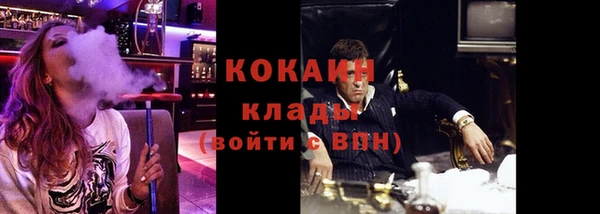 прущие грибы Белокуриха