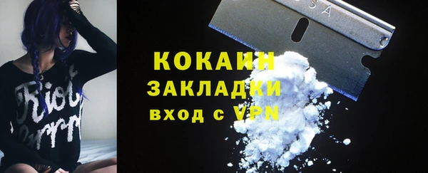 прущие грибы Белокуриха