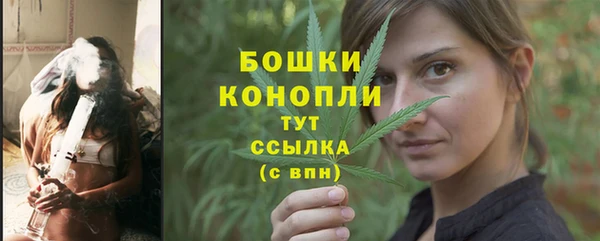 гидра Белоозёрский
