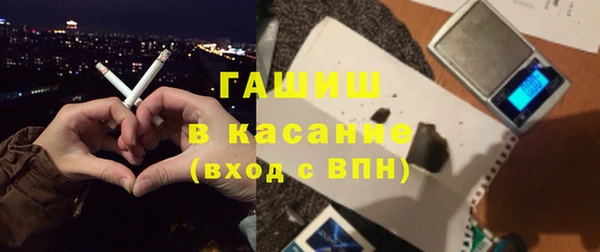 прущие грибы Белокуриха