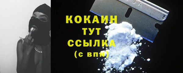 прущие грибы Белокуриха