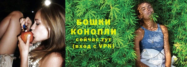 прущие грибы Белокуриха