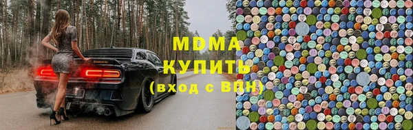 прущие грибы Белокуриха