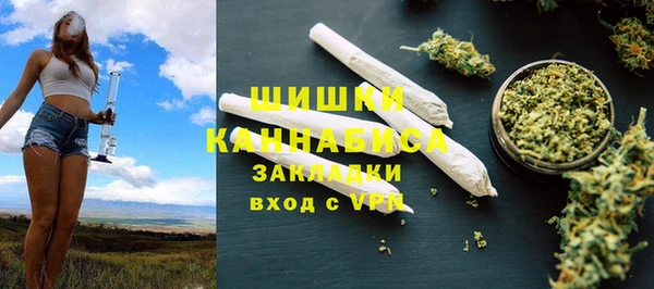 прущие грибы Белокуриха