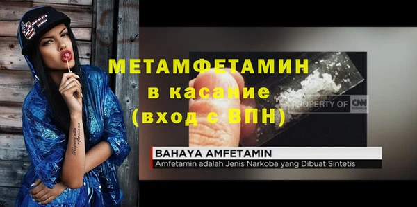 прущие грибы Белокуриха