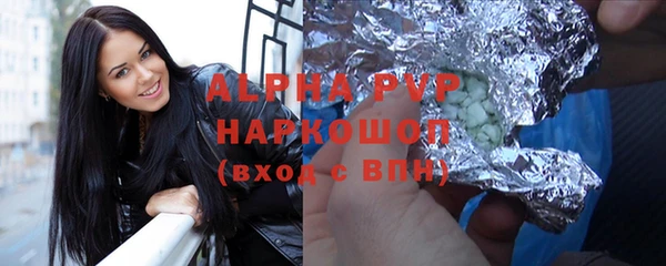 прущие грибы Белокуриха
